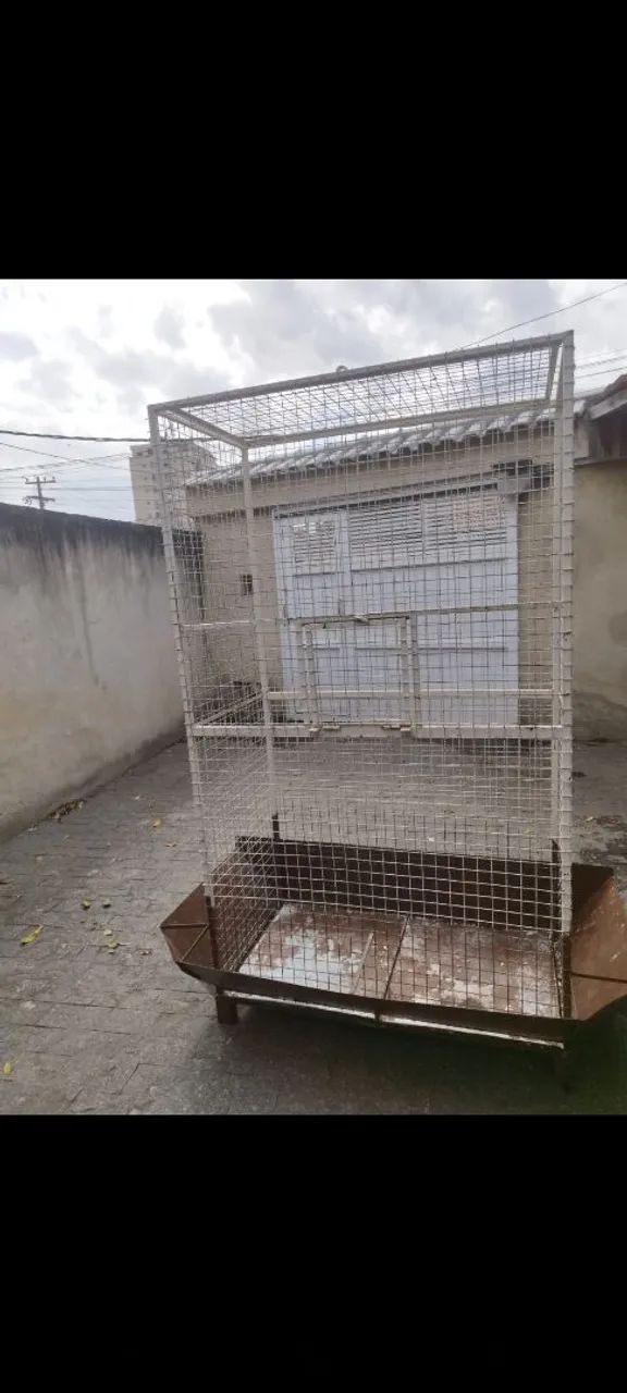 Viveiro grande para pássaros - Foto 5