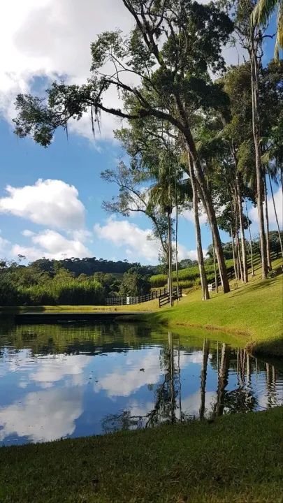 "Investimento Imbatível: 1000m² em Alumínio com Lago e Área Comercial!" - Foto 11