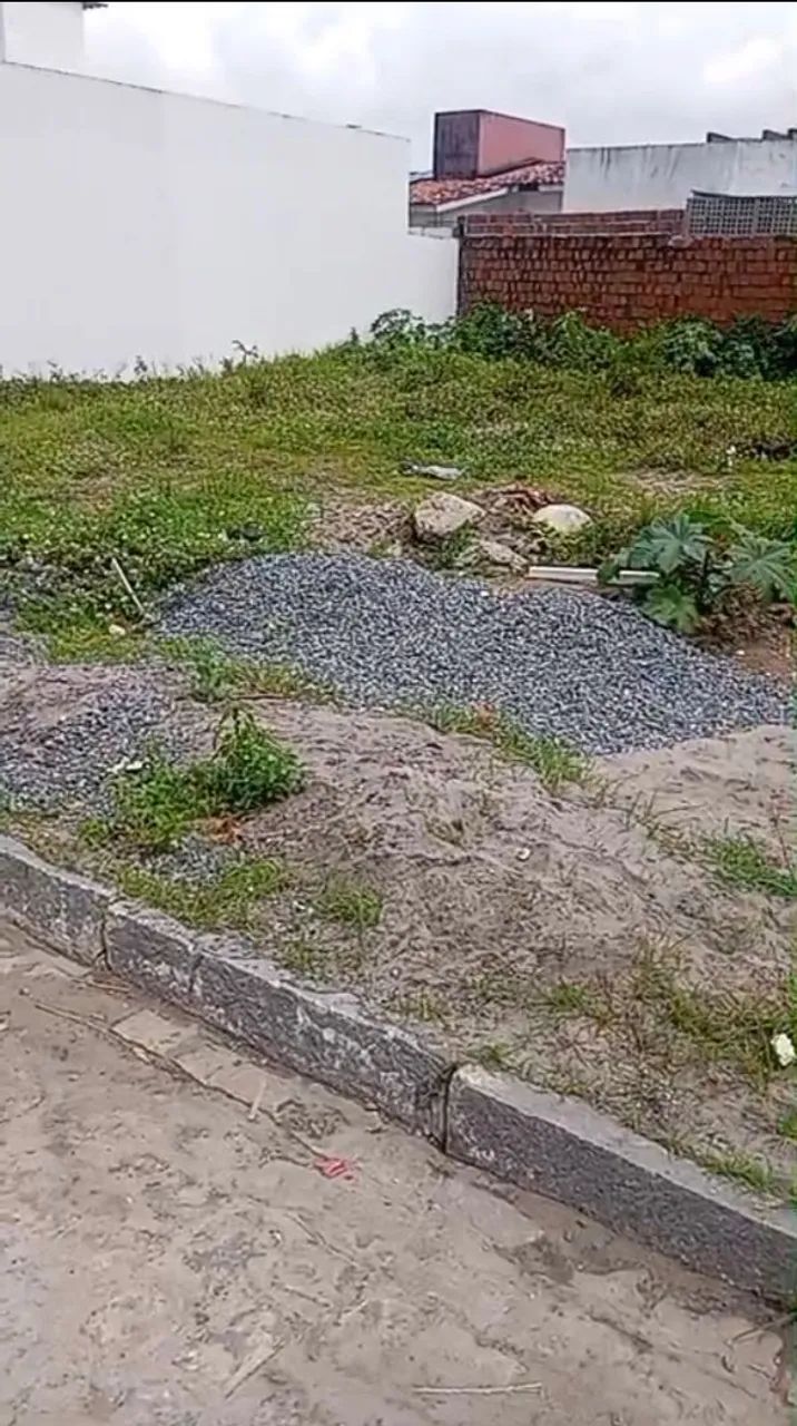 Trabalho: Limpeza de Terreno 