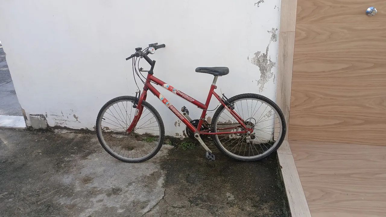 Bicocleta