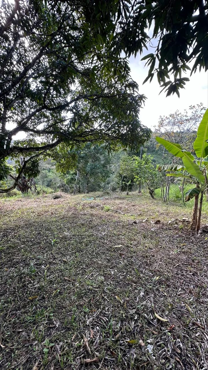 Sítio em chã grande - Foto 3