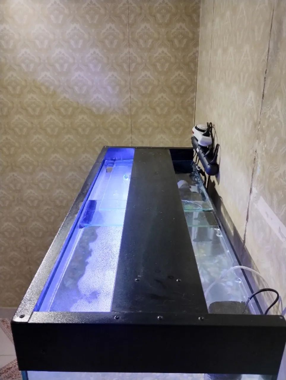 Aquário marca H2BOX com samp interno - Foto 4