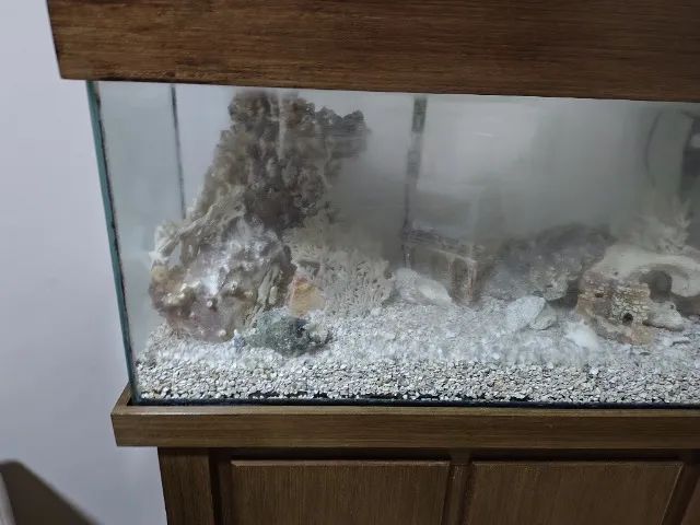 Móvel Aquário  - Foto 3