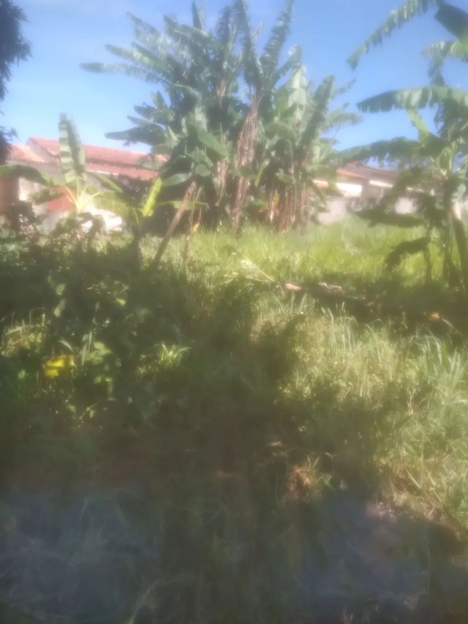 Vendo área de 6400 metros  - Foto 2