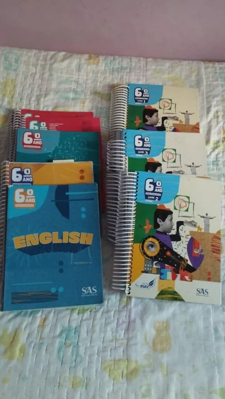 Livros escolares SAS do 6° ano 2024, todos os livros por r$400