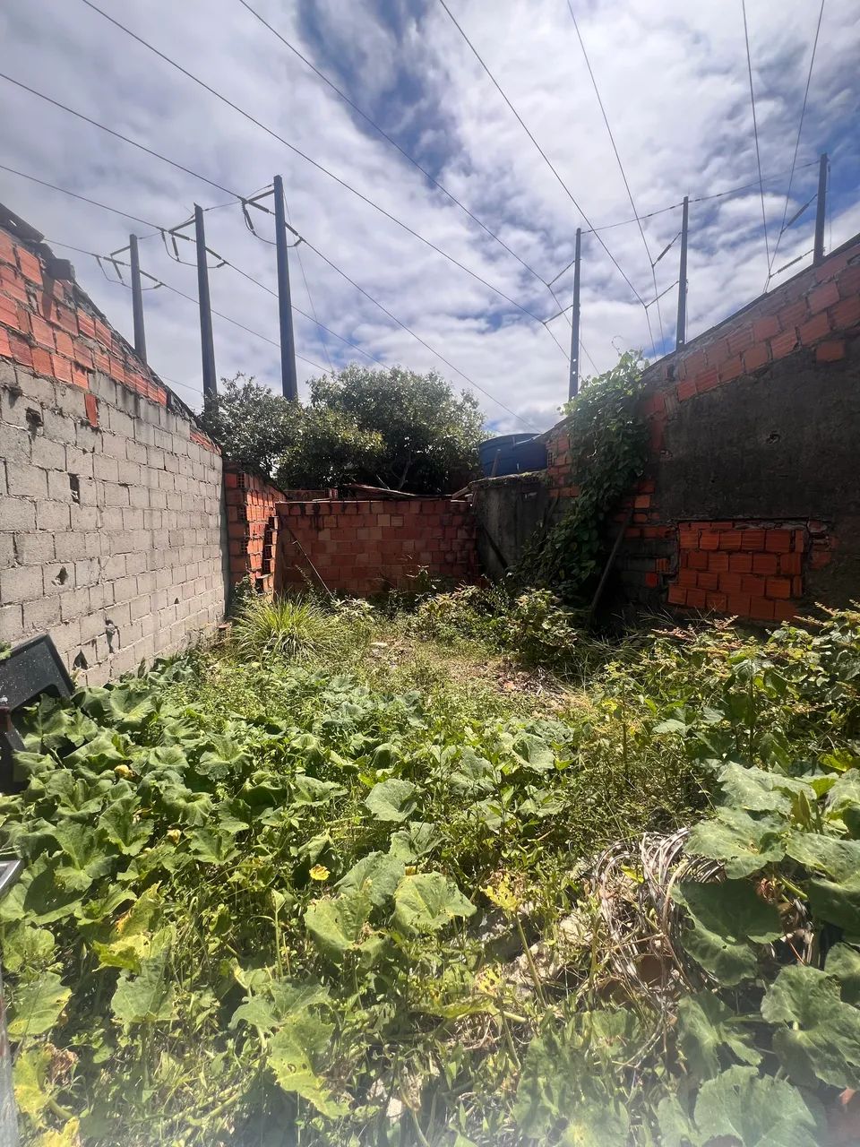 Terreno à venda no Clima bom - Foto 5