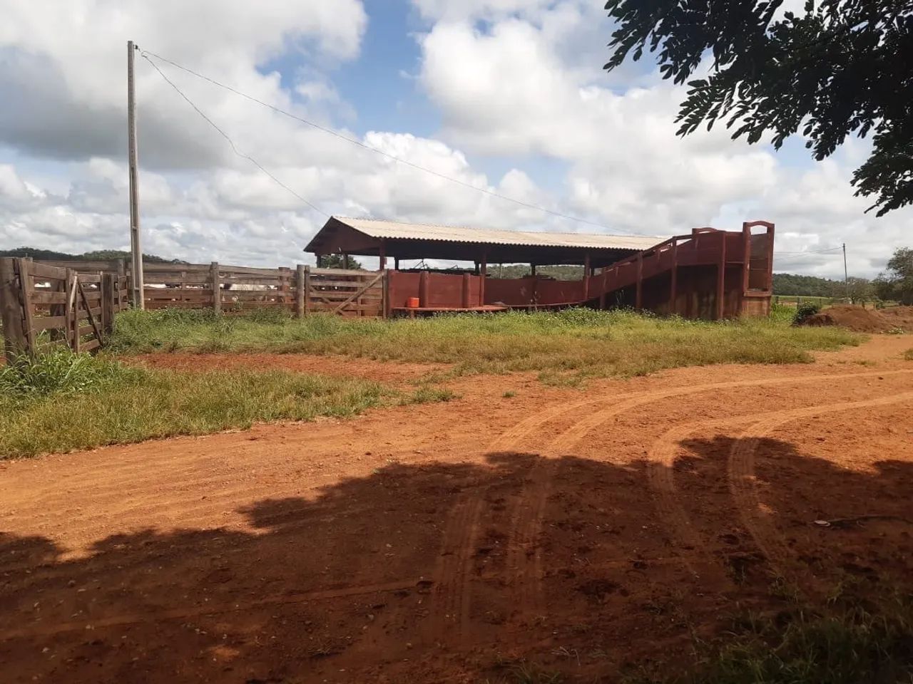 Fazenda em Goiatins/Tocantins  - Foto 3