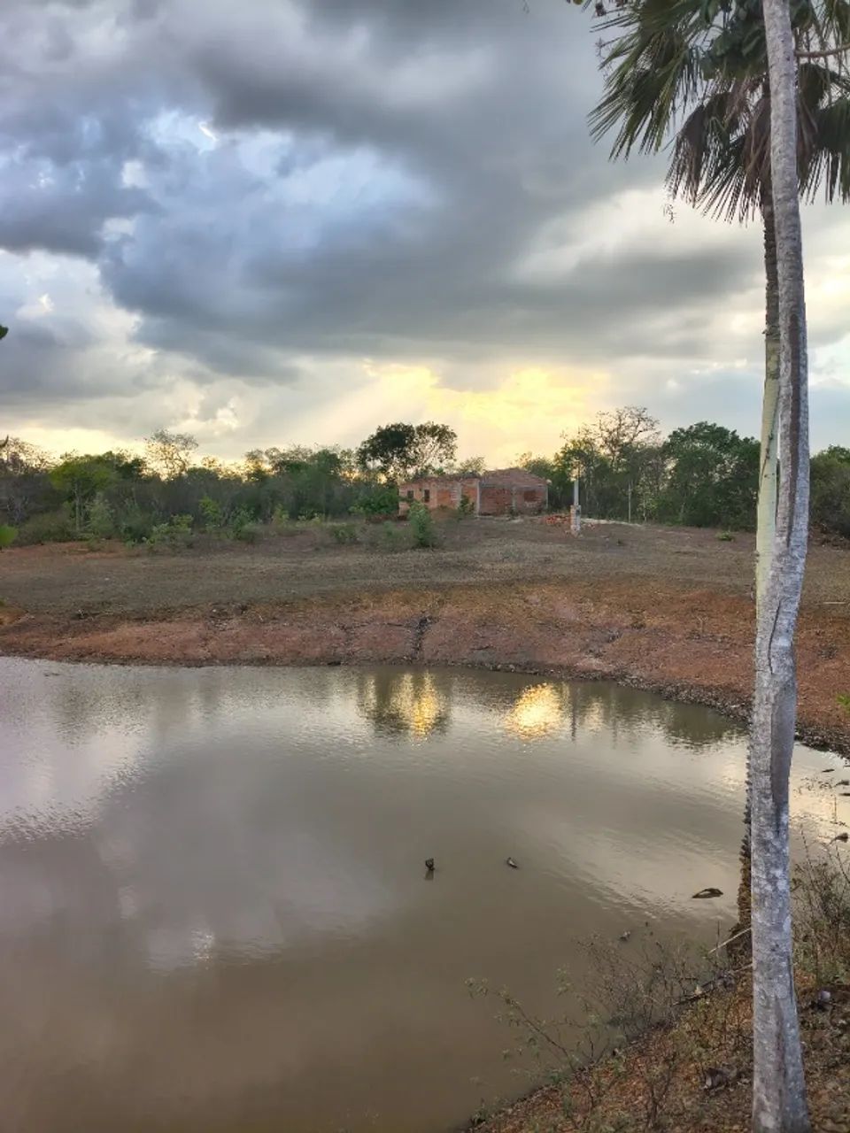 Vende-se sítio  - Foto 5
