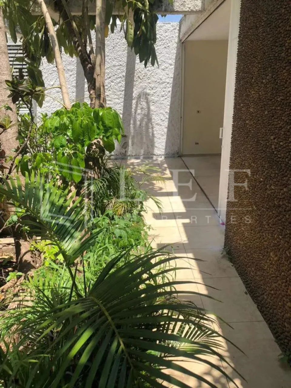 Rua Coronel Cabrita - Jardim da Gloria - Foto 5