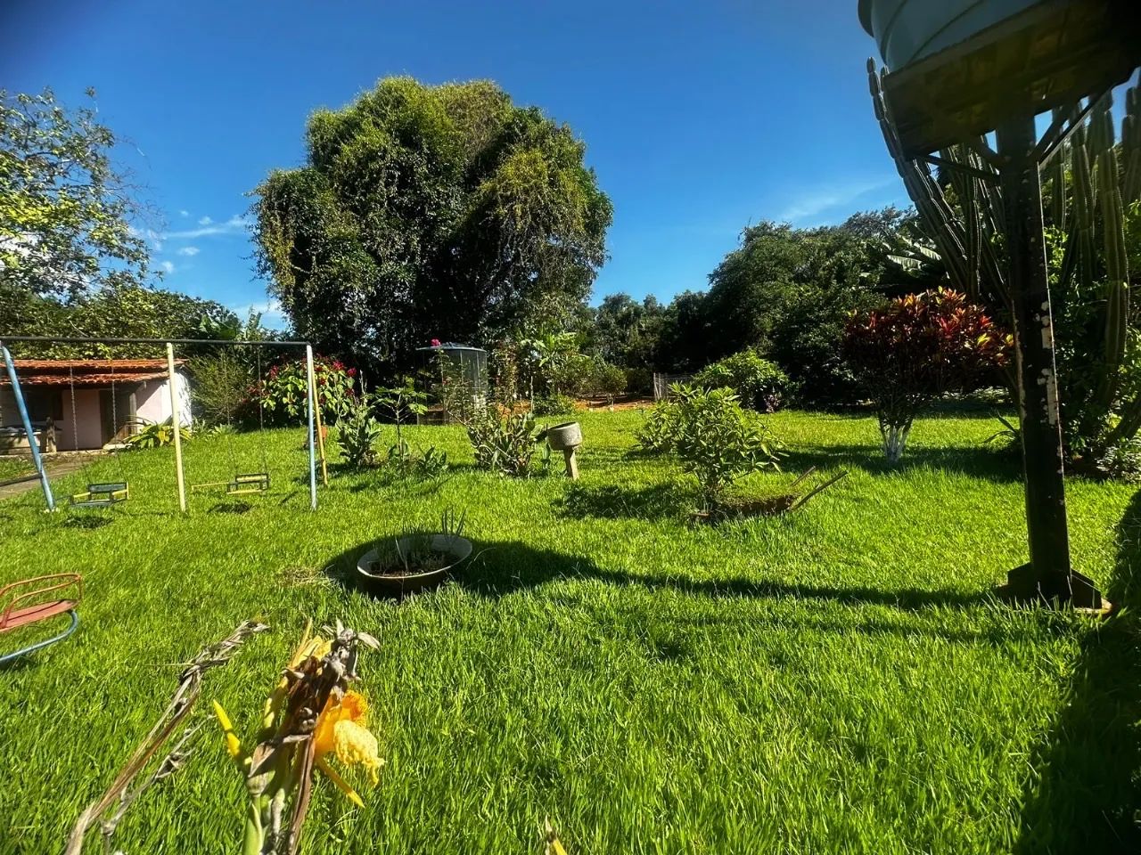 Oportunidade única  - Foto 4