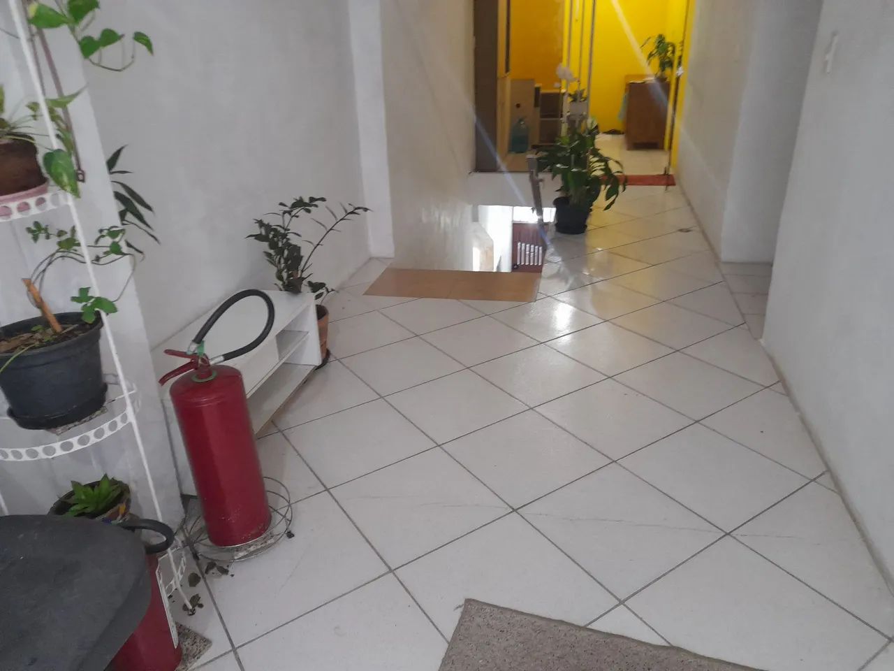 Foto - São Paulo - Cambuci