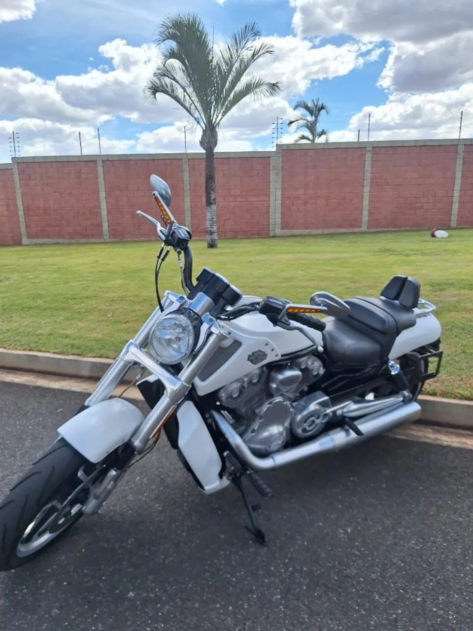 Harley Davidson V-Road Muscle Vrscf - Foto 3
