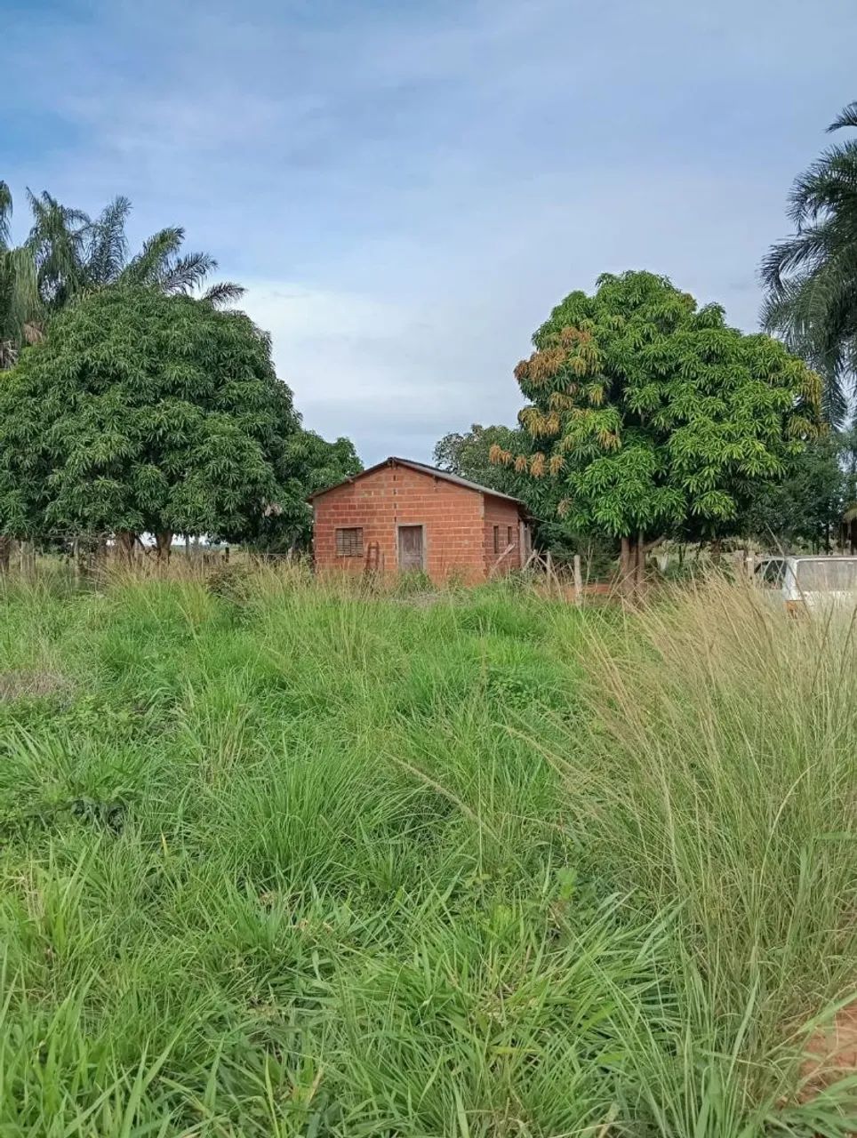 Fazenda à 5 km do rio Araguaia  - Foto 4