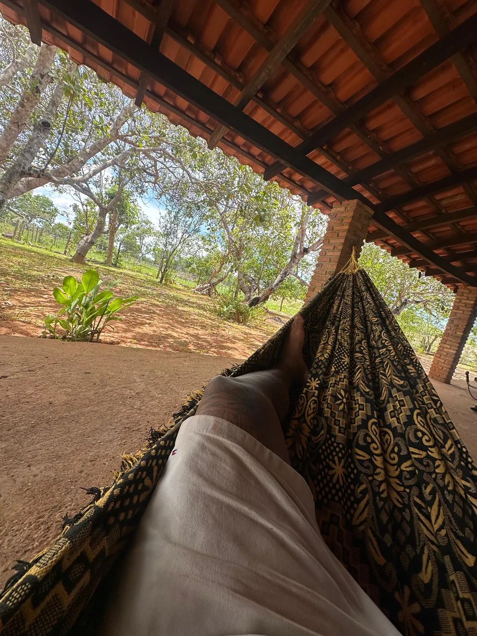 VENDO SÍTIO EM POCONE 10HC  - Foto 4