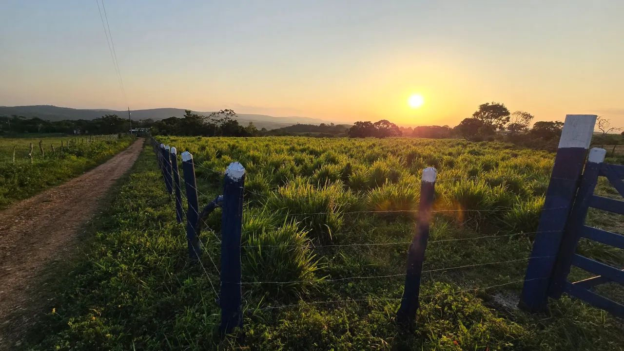 Vendo ou Troco Sítio Com 18.6 Tarefas em São Domingos 