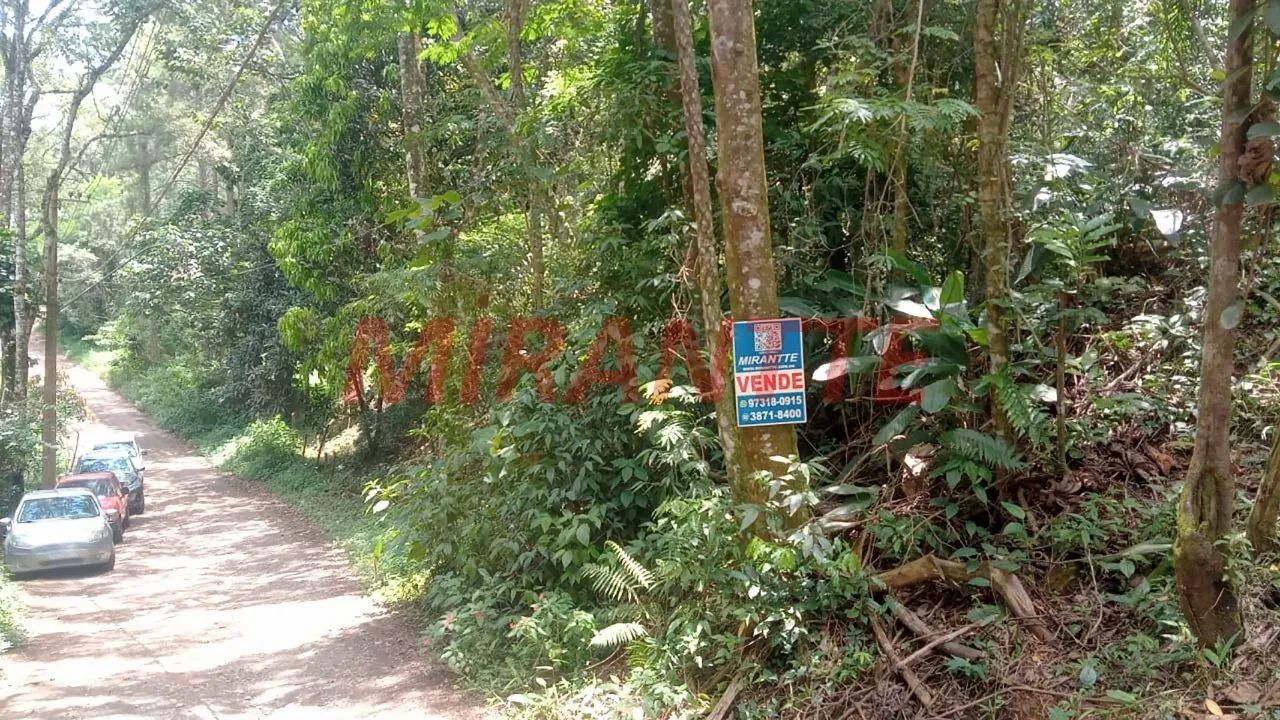Terreno em Boa Vista - Foto 2