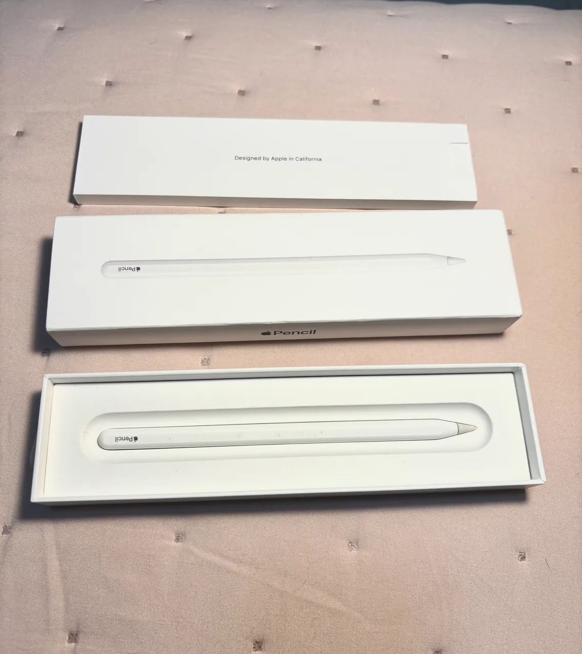 Apple Pencil 2ª Geração Usada Funcionando Perfeitamente