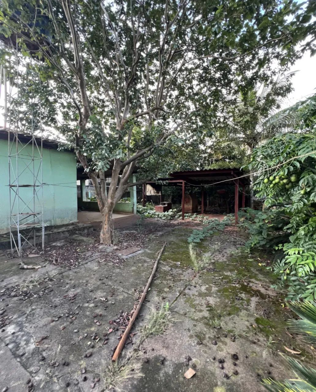 LOTE SETOR SANTOS DUMONT | 443 M2 | ESCRITURADO - Foto 4