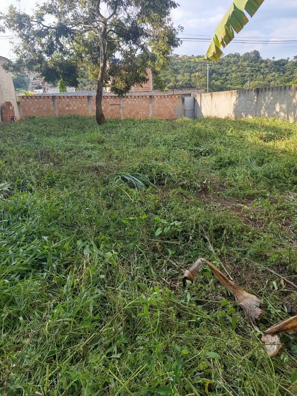 LOTE À VENDA - Foto 2