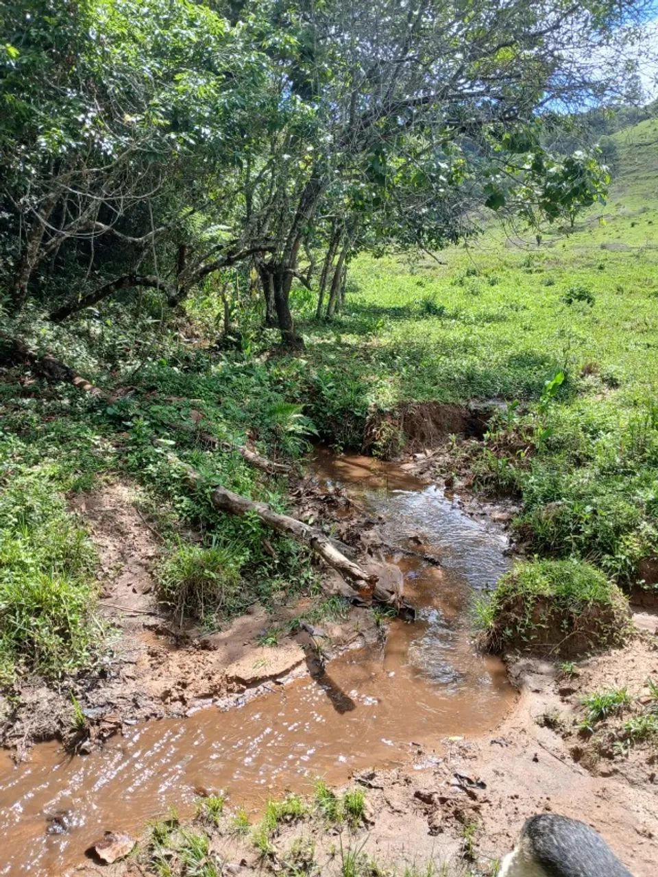 Sitio - Foto 3