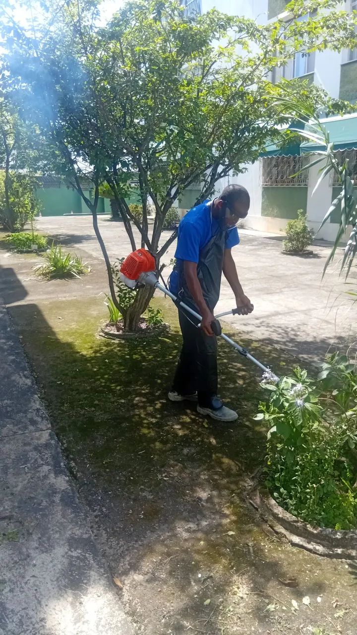 SERVIÇO DE ROÇADEIRA  - Foto 2