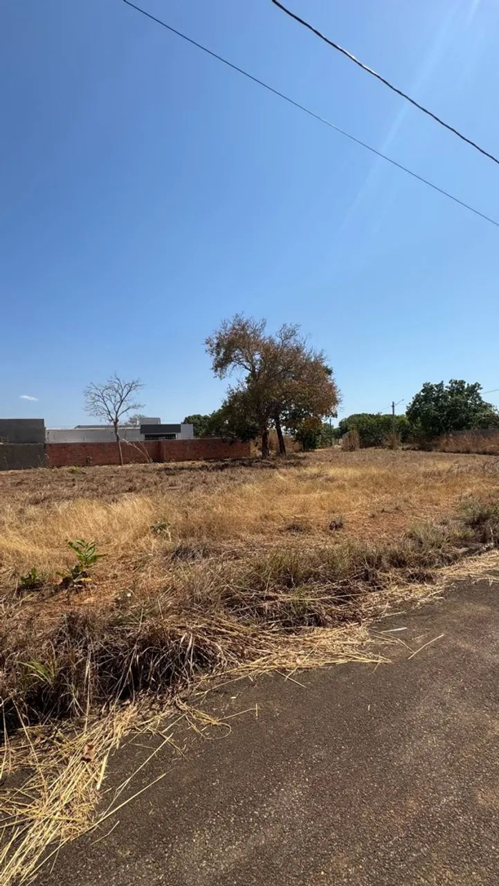 Lote-luzimangues 