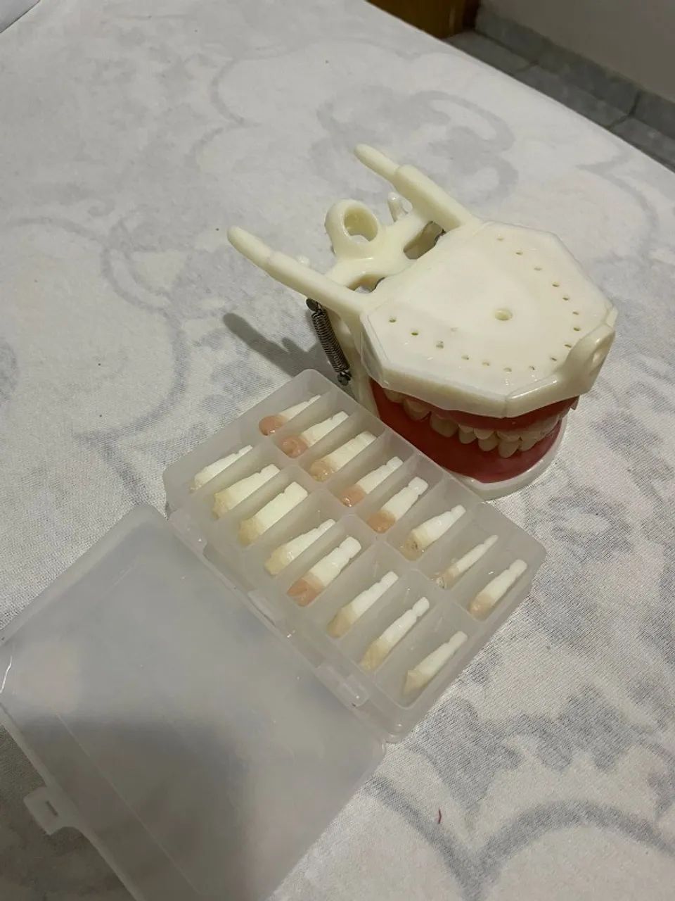 Manequim de dentística - Dent Art 