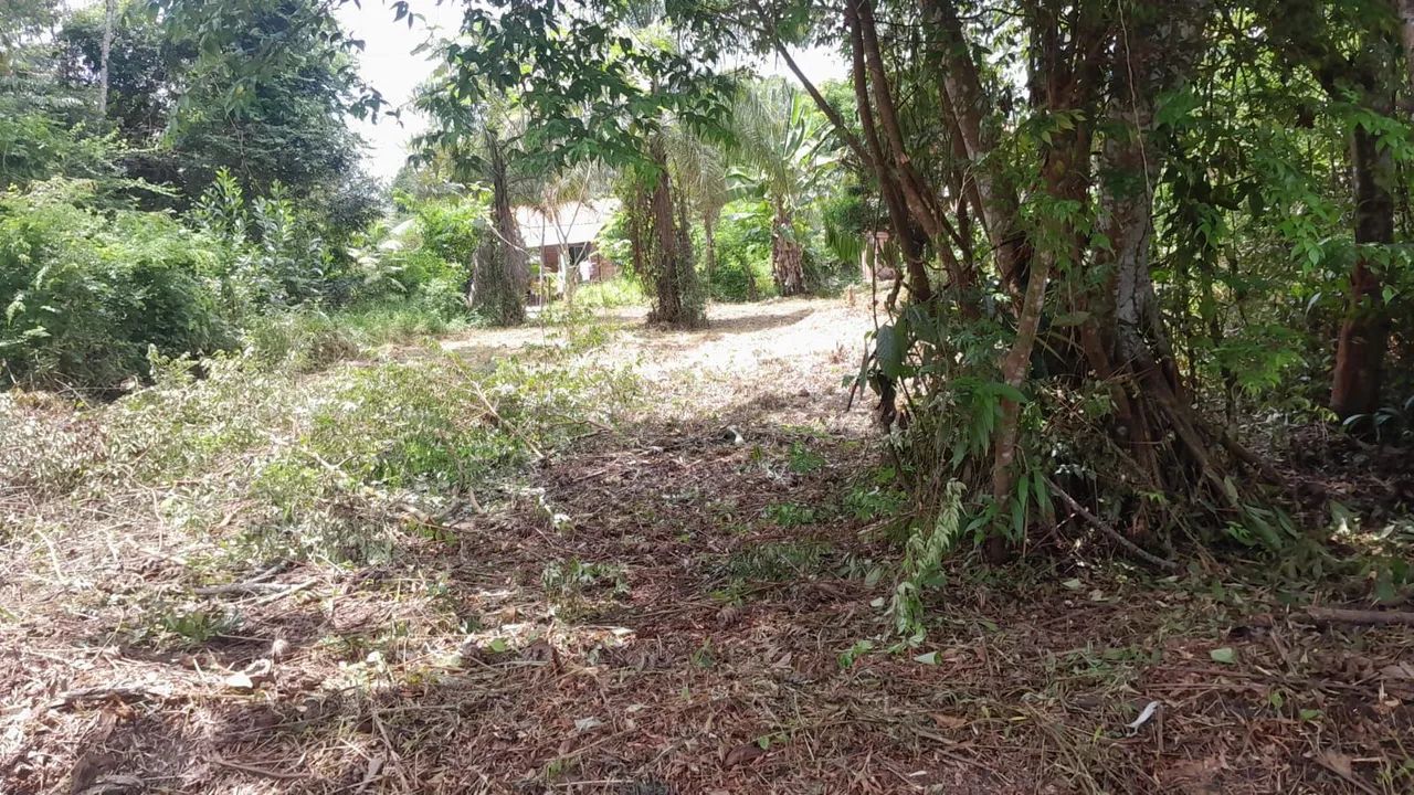 Terreno no murinin/Benevides  - Foto 3