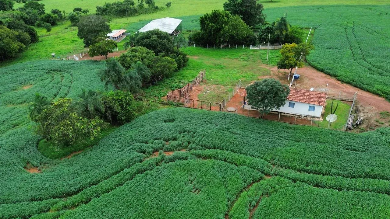 CHÁCARA EM CEZARINA GO - 3 ALQUEIRES