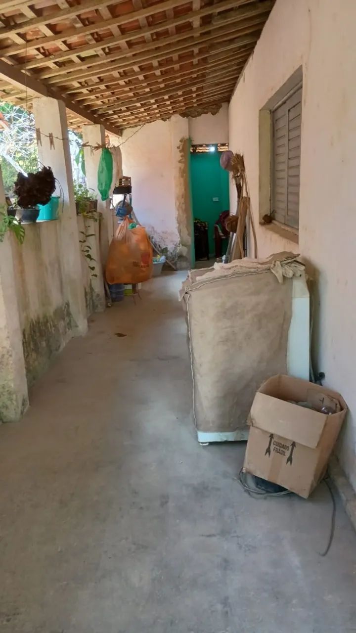 Sítio com casa sede, riacho, cacimba, muita água doce e fruteiras, com 1 hectare e meio - Foto 4