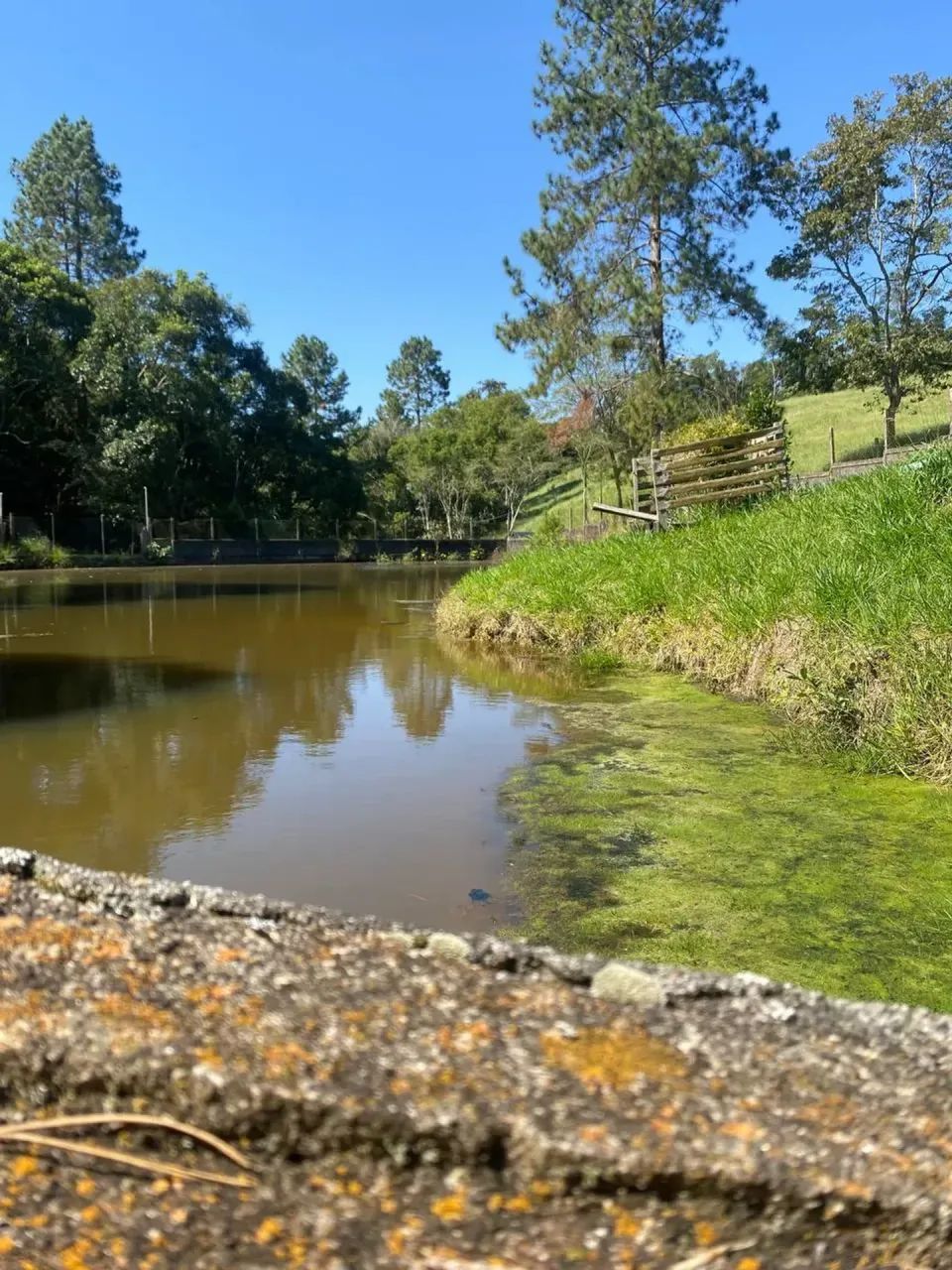 Seu Terreno no Interior com Segurança e Natureza  Aproveite!