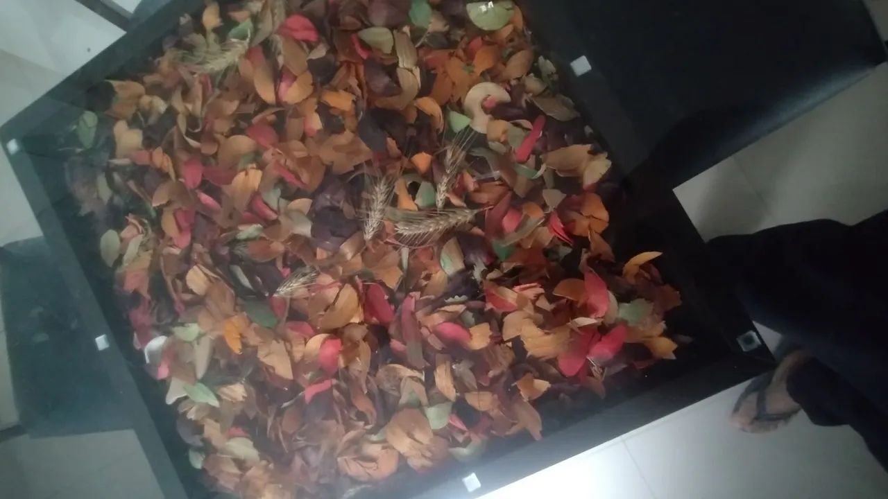 MESA DE JANTAR  - Foto 2