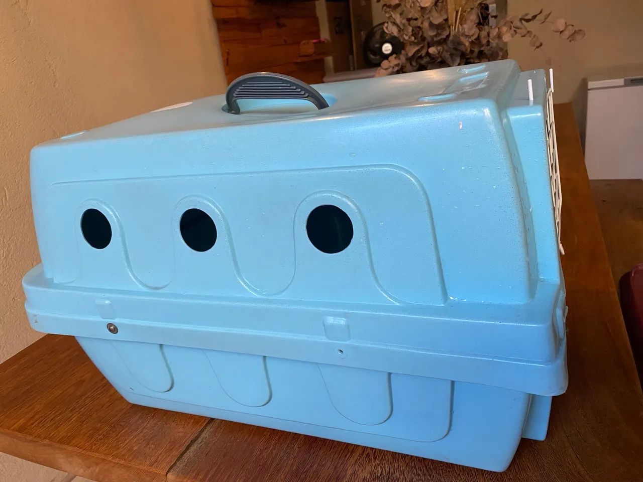 Caixa de transporte animal  - Foto 4