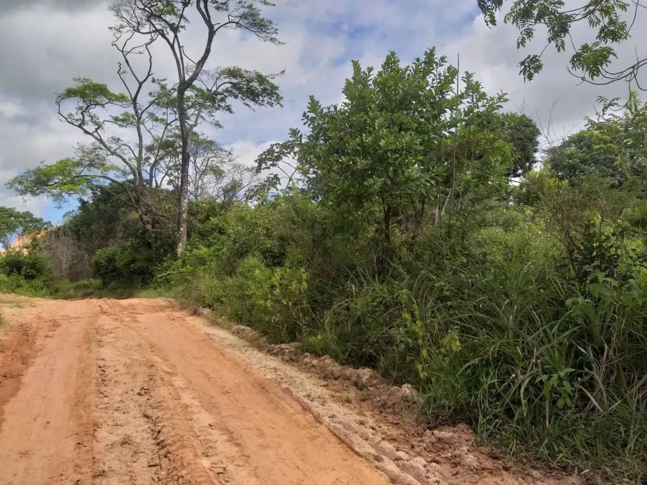 Terreno à venda no Guajará - Foto 4