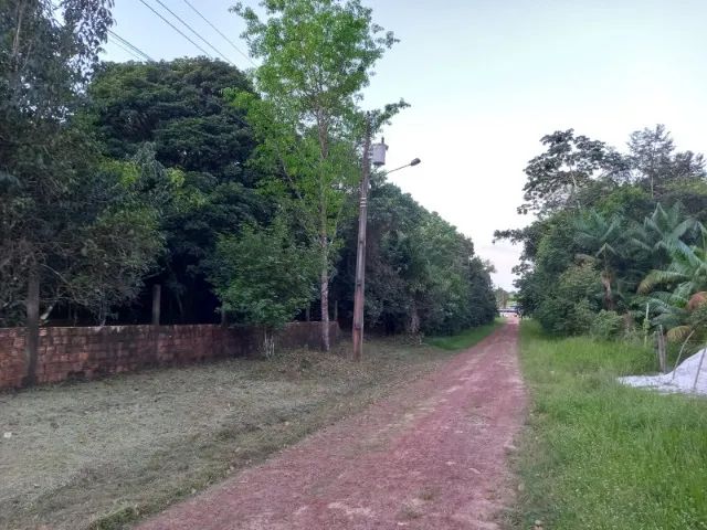 Sítio com 21.000 m² na estrada de Salinópolis - Pará - Foto 2