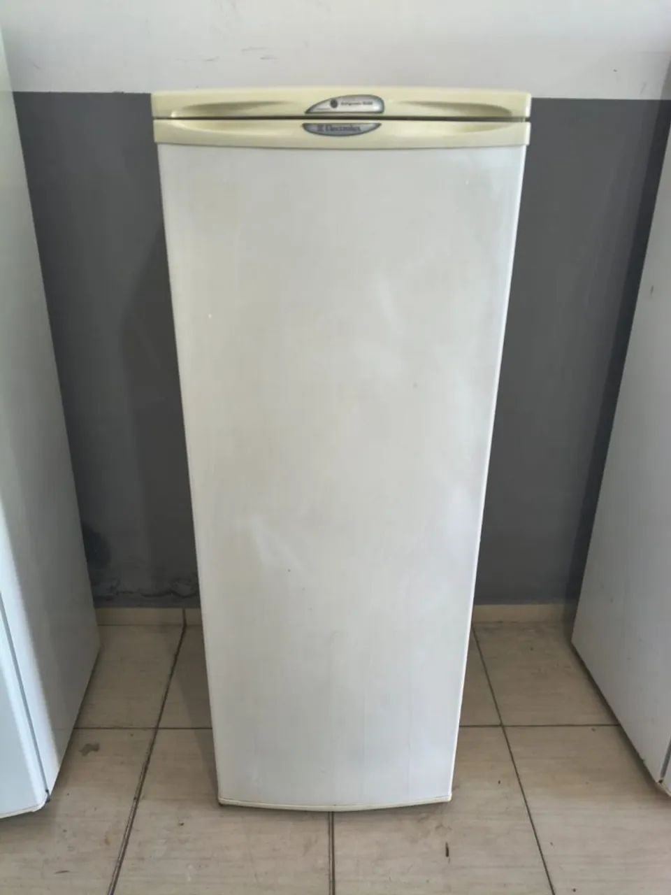 Geladeira Electrolux 