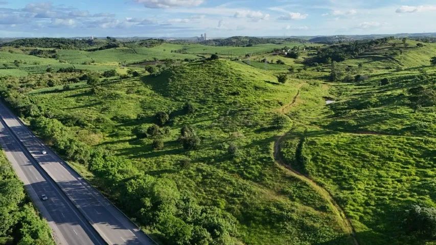 Venda De Imóvel Rural E Imóvel Comercial Na Br-101 ? 89 tarefas / 269.225 M² - Foto 5