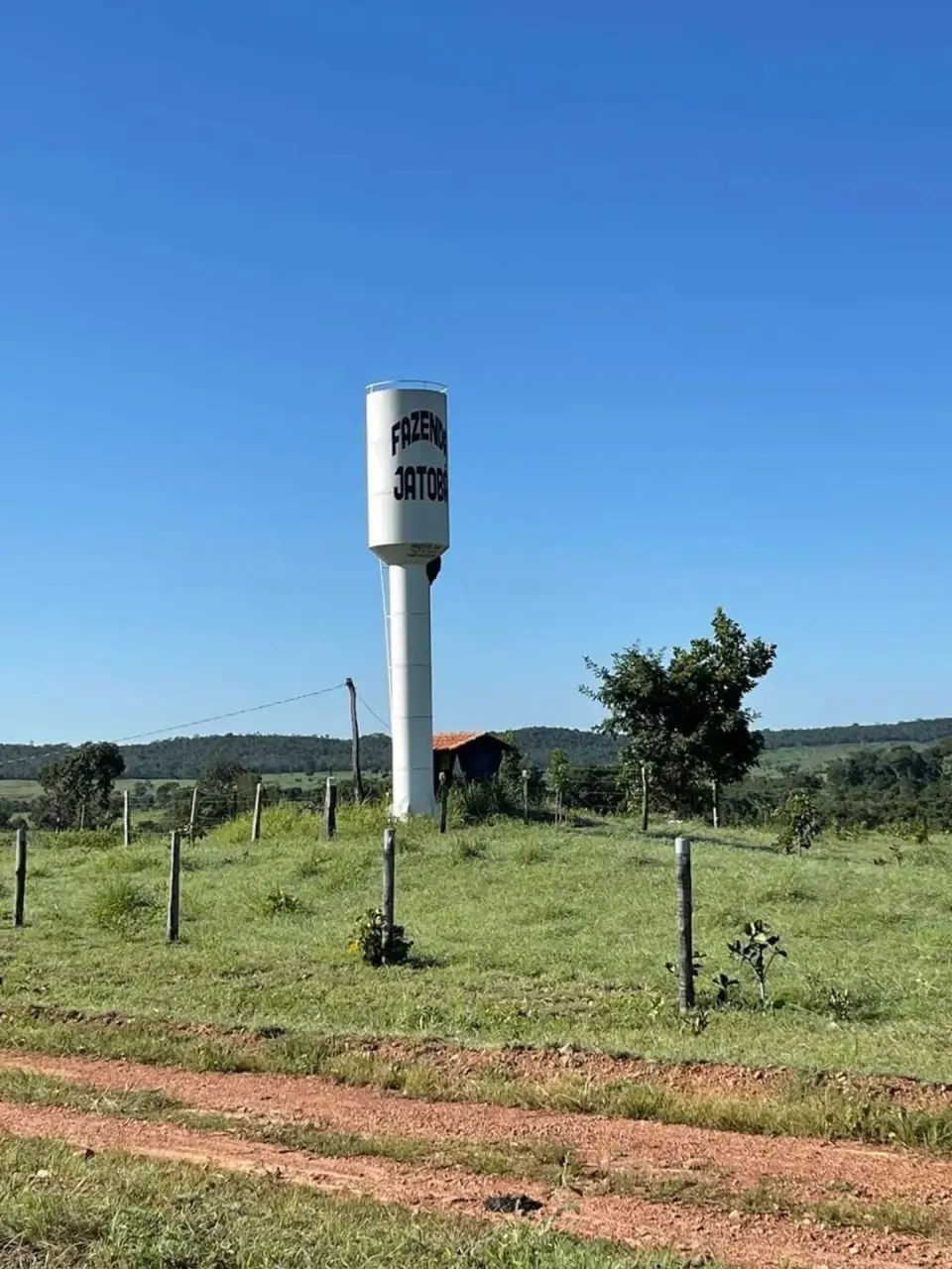 Fazenda a venda em Crixas / Goiás - Foto 3