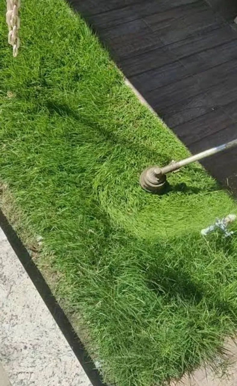 Corte de grama, roçada e limpeza de terreno 