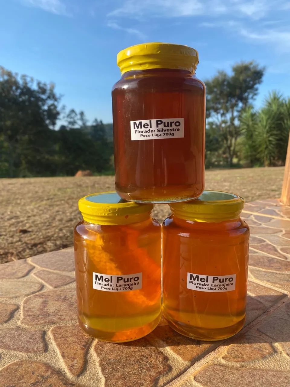 MEL PURO 100% NATURAL 700g - Foto 2