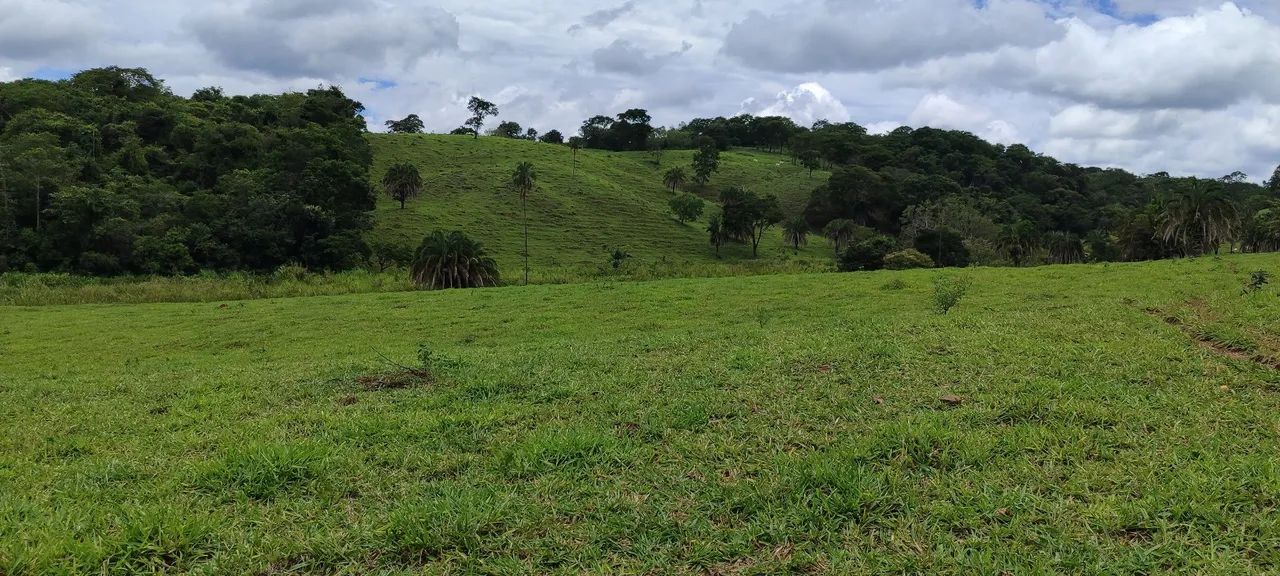 Fazenda em caldazinha  - Foto 4