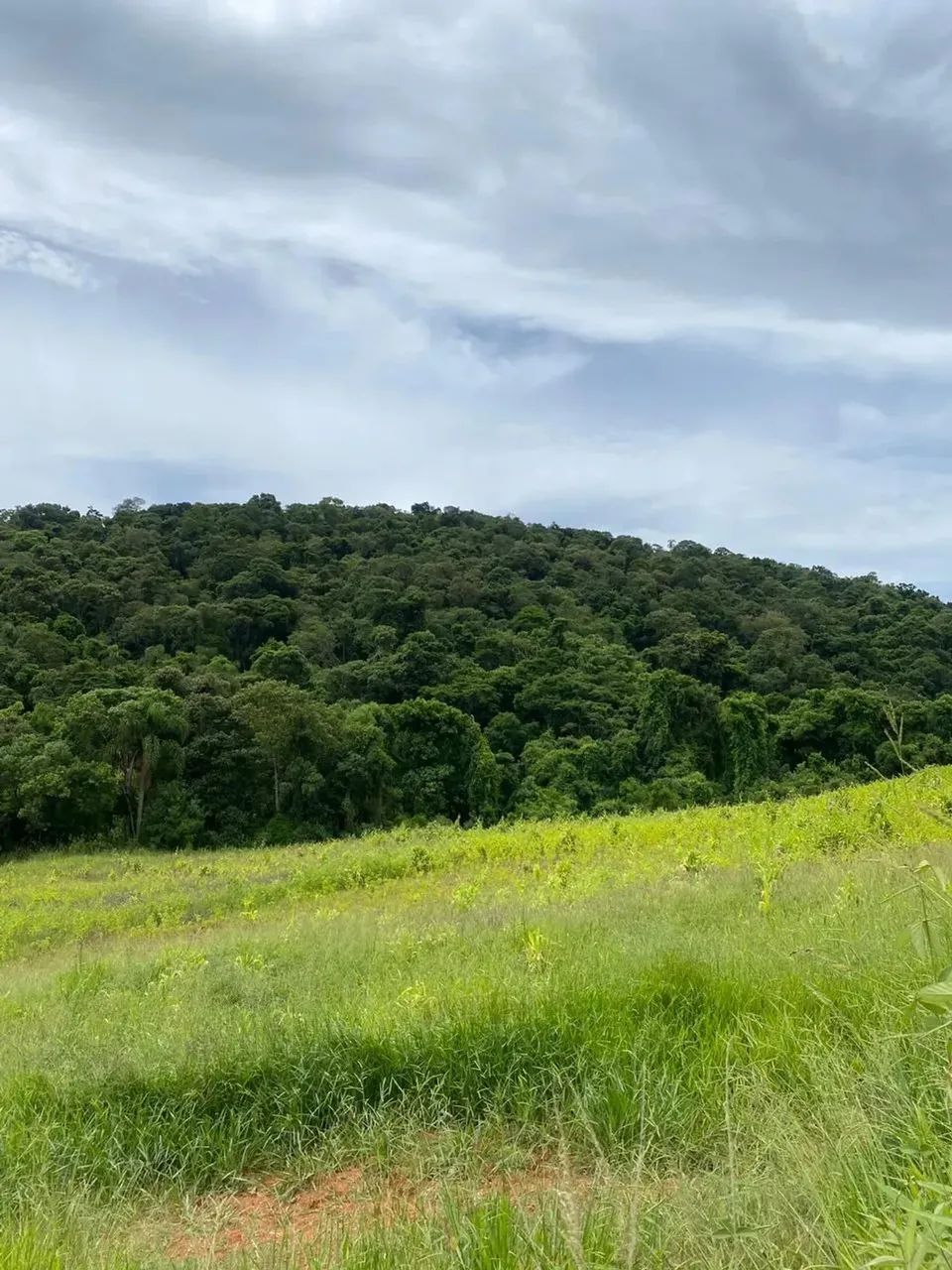 Pré-lançamento em região de crescimento acelerado - Foto 6