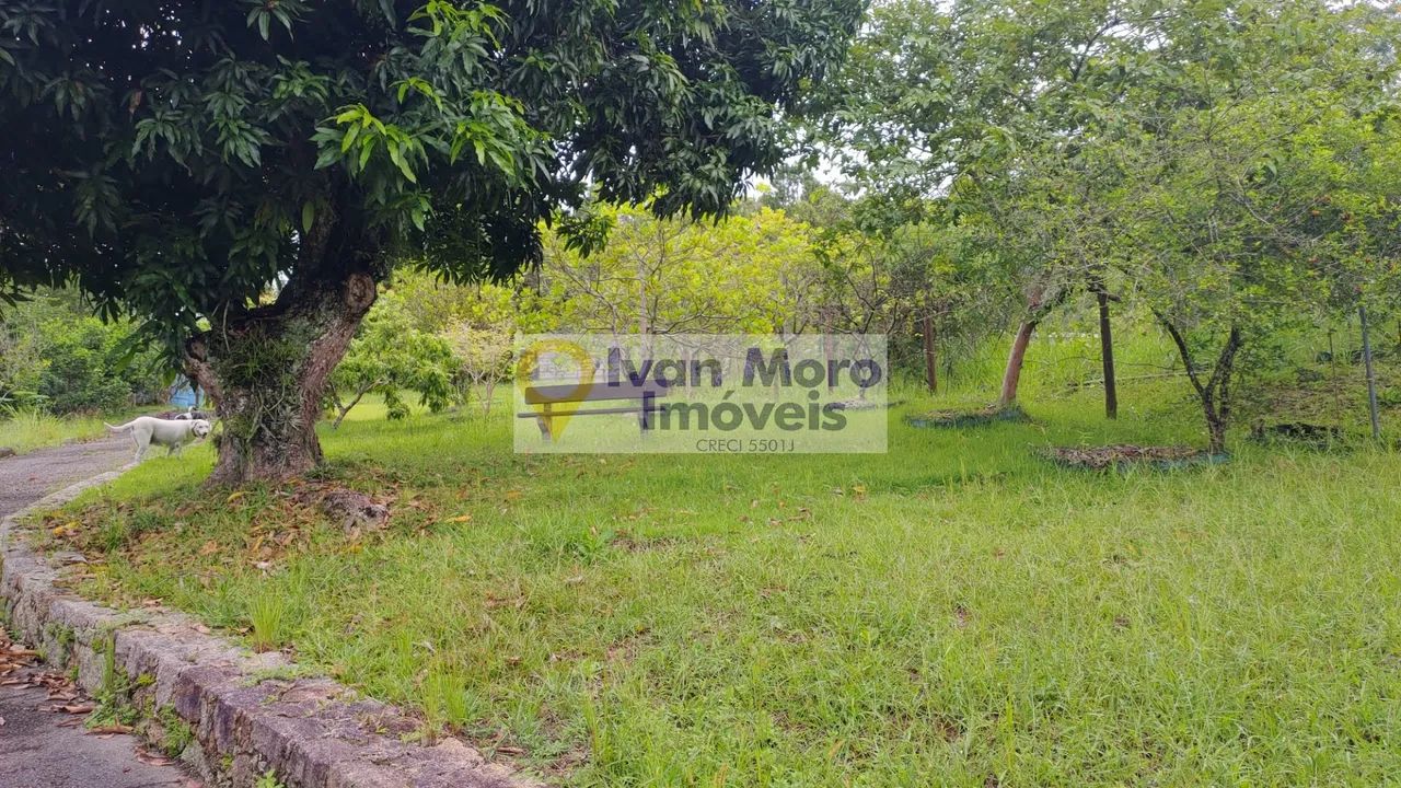 Casa/sítio à venda em Ratones, terreno com 4.209m² - Florianópolis - SC