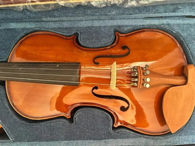 Violino Eagle VE 441 4/4 - Foto 2