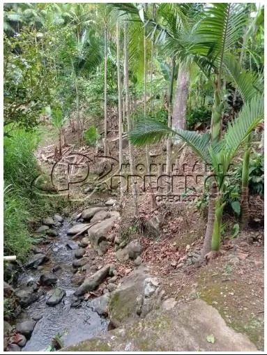 Chácara em Corupá - Foto 4