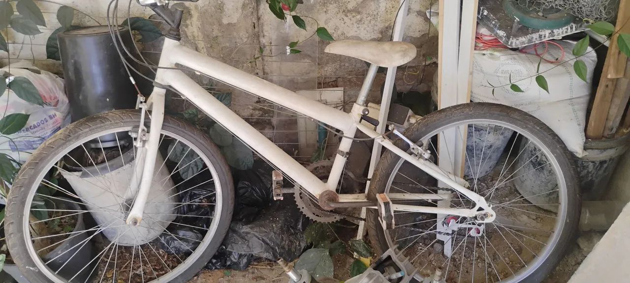 Bicicleta aro 24