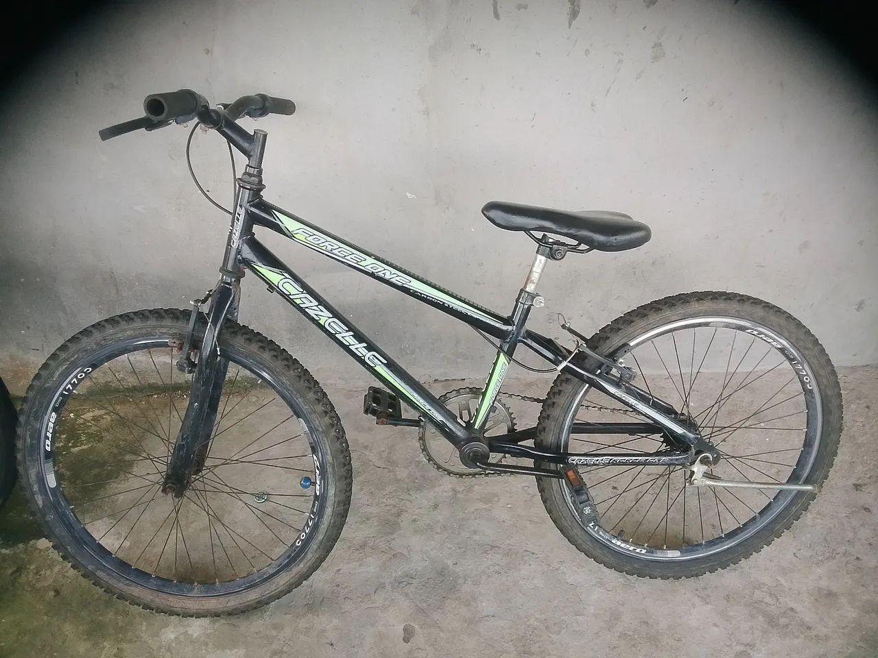Bicicleta 