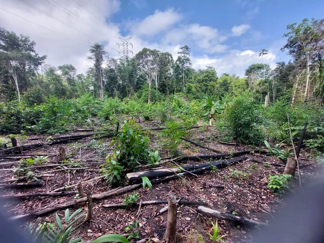 Terreno pros seus sonhos de uma chácara - Foto 4