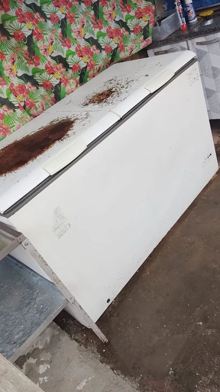 Vendo frangueira completa e freezer horizontal  - Foto 3