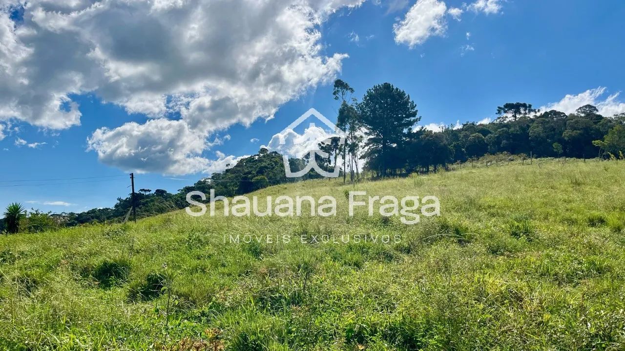 SITIO RURAL em RANCHO QUEIMADO - SC, INVERNADINHA - Foto 3